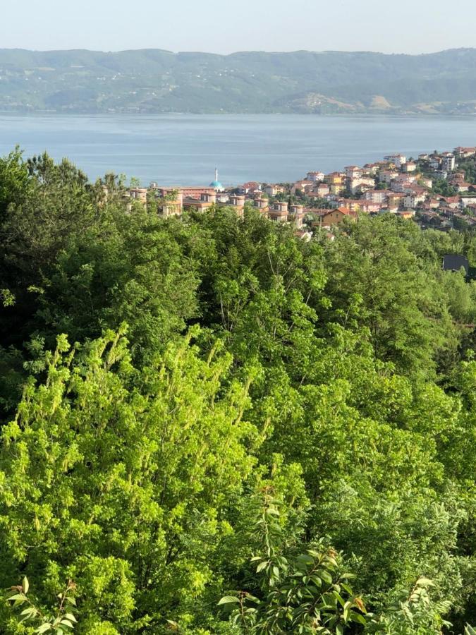 Dag Evi ,2 Oda, Lake View, Fireplace Jakuzi,6 Person Sapanca Εξωτερικό φωτογραφία