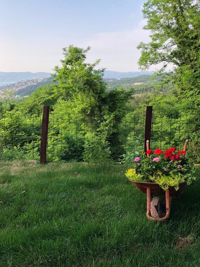 Dag Evi ,2 Oda, Lake View, Fireplace Jakuzi,6 Person Sapanca Εξωτερικό φωτογραφία